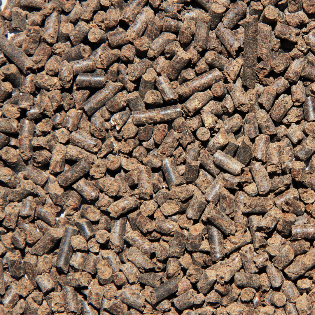 Engrais Bonsai ORGA3