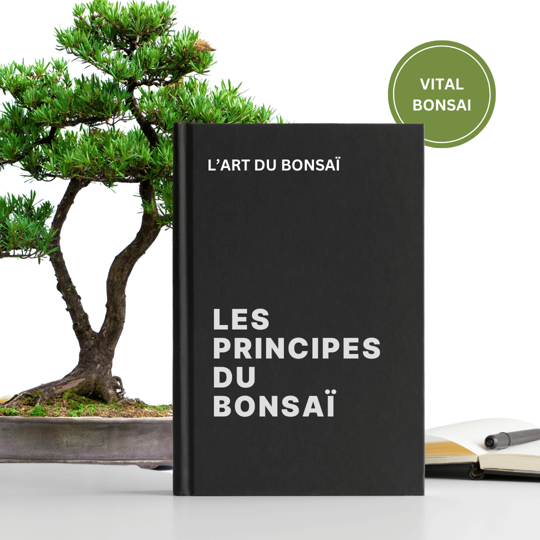 L'ART du BONSAI (Formation PDF)
