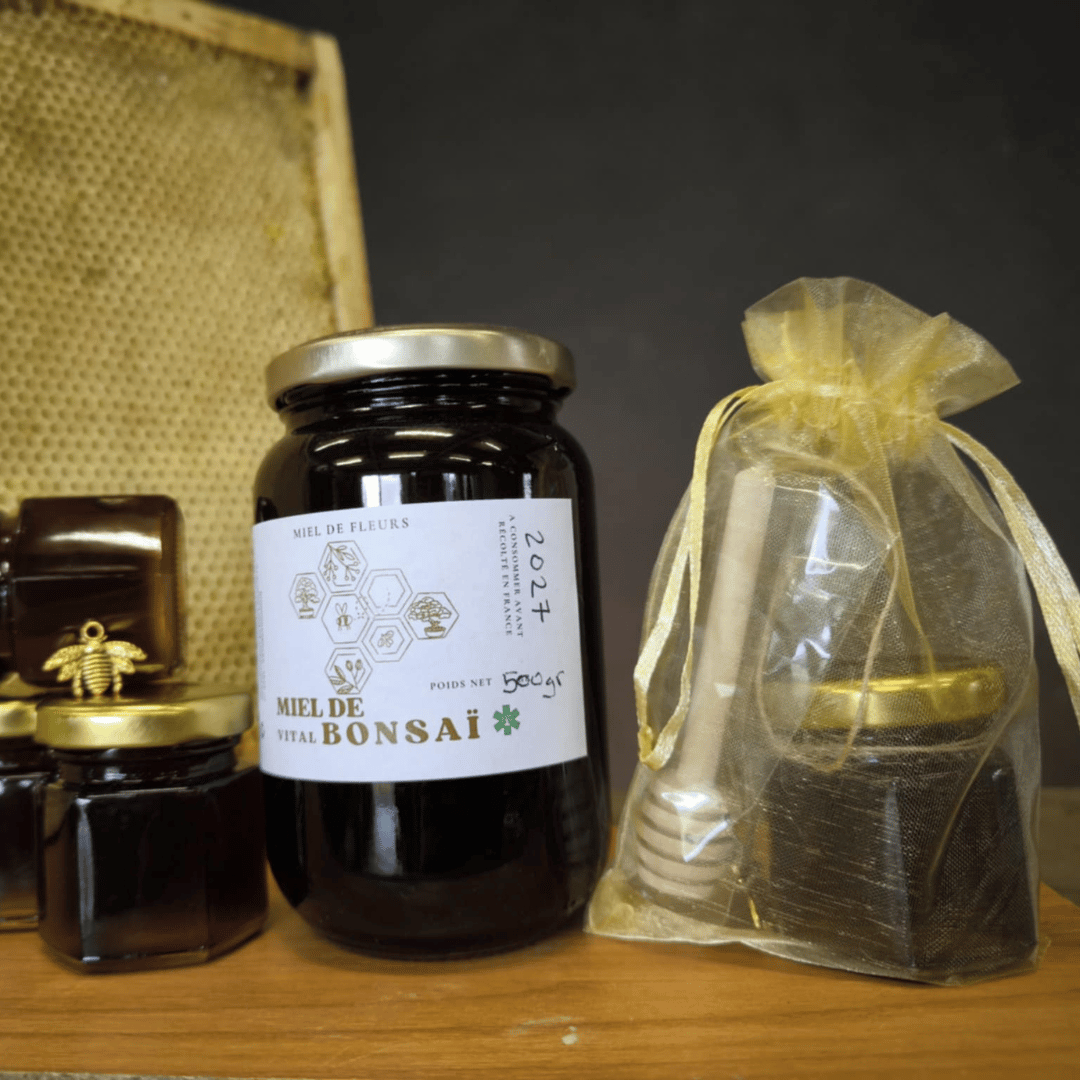 MIEL de Foret