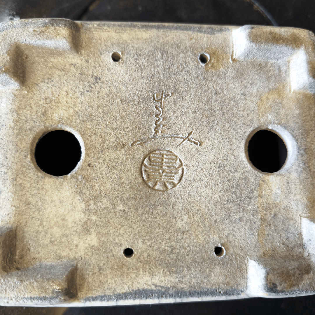 Pot Bonsaï émaillé craquelé