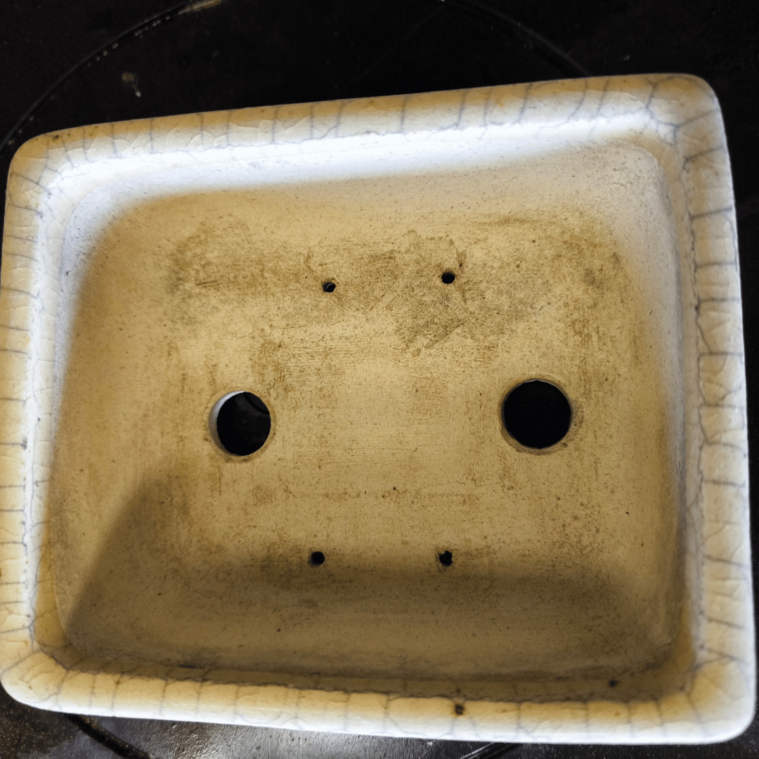 Pot Bonsaï émaillé craquelé