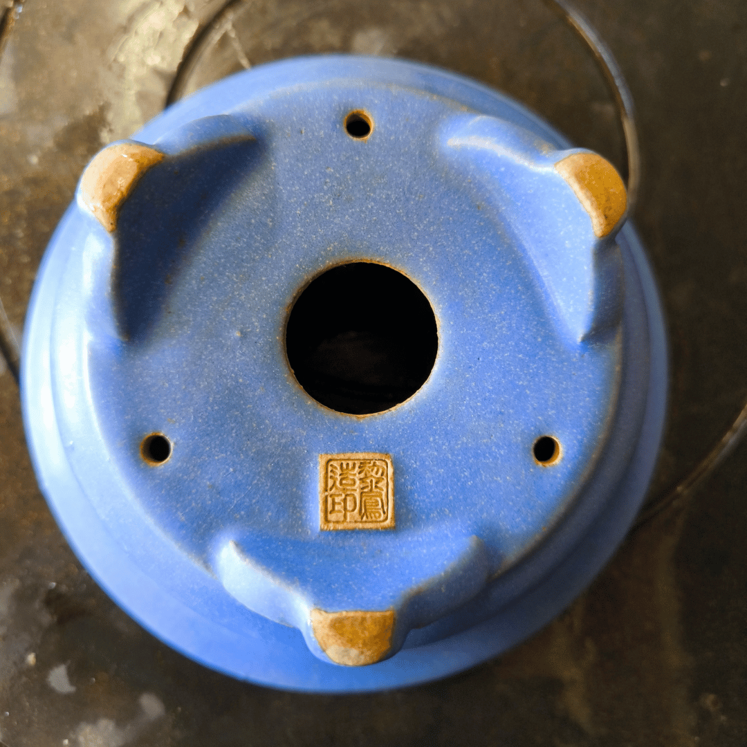 Pot Tokoname Bonsaï émaillé rond