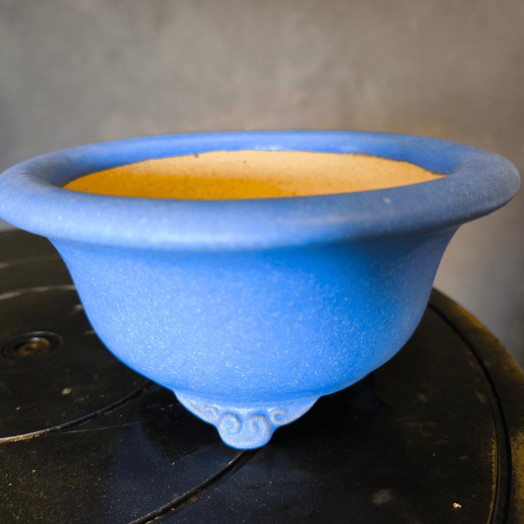 Pot Tokoname Bonsaï émaillé rond