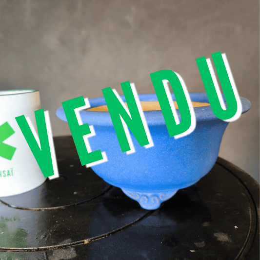 Pot Tokoname Bonsaï émaillé rond